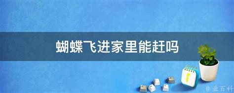 蝴蝶飞进家里万字|家里进蝴蝶有什么预兆，能赶出去吗